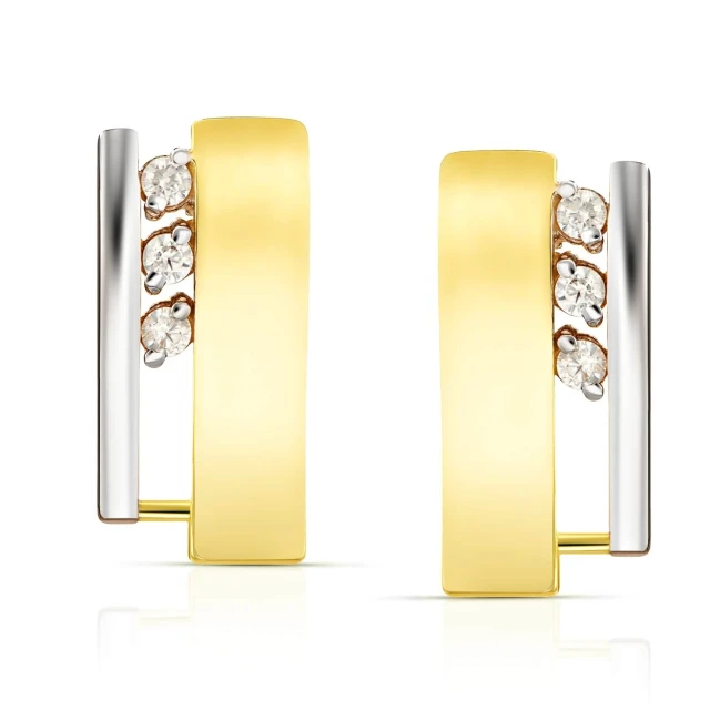 Goldene Geschenk Ohrringe