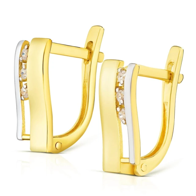 Goldene Geschenk Ohrringe