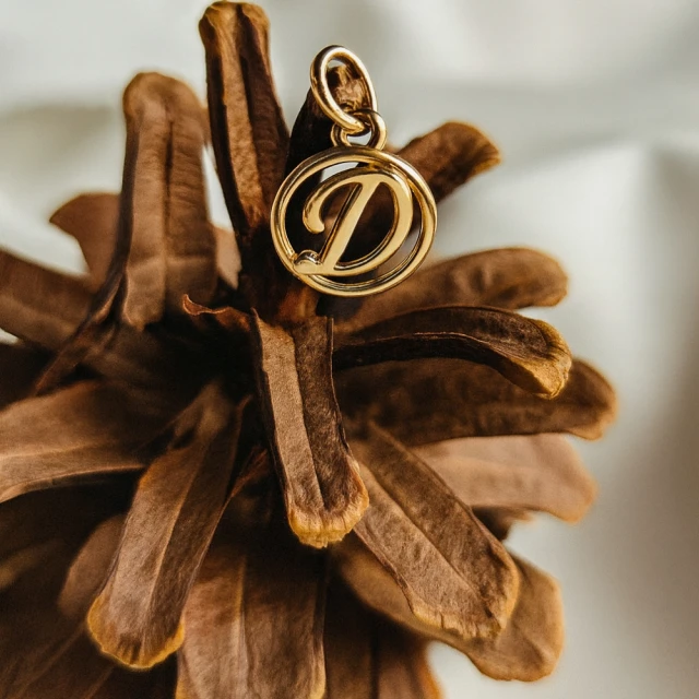 Złota zawieszka 333 litera D w kółku