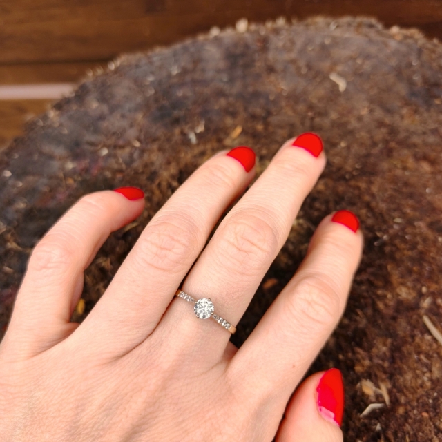 Gold Ring Zirkonie Nur ein Versuch 585