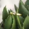 Gold Ring Rillenring P1.964P | ergold