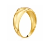Czauma II Gold Ring P1.294 | ergold