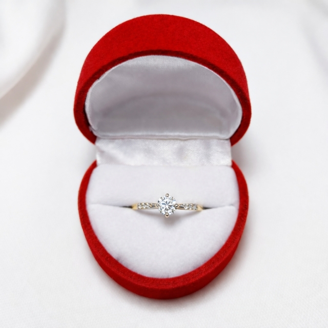 Gold Ring Zirkonie Nur eins