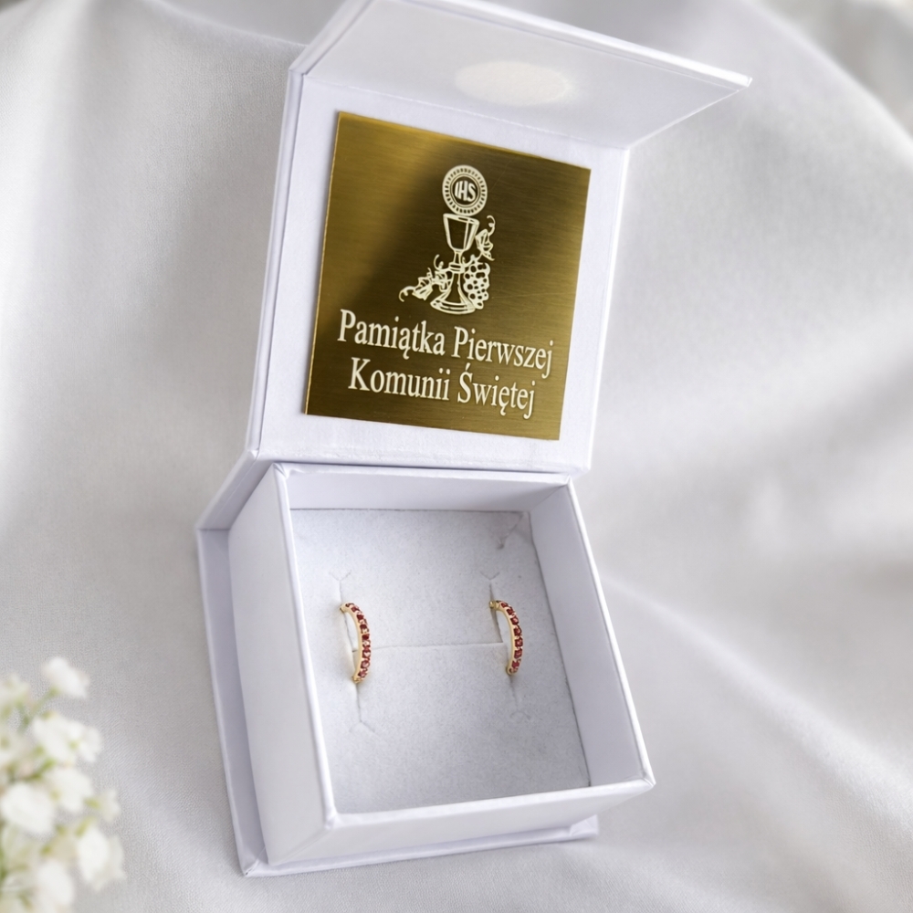 copy of Princess Sparkle Gold Rubin Ohrringe 585