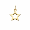 Pozłacana zawieszka 14k gwiazdka  | ERgold