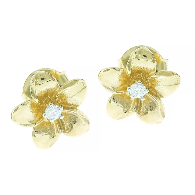 Goldene Ohrringe mit Zirkonia FrühlingsBLUMEN