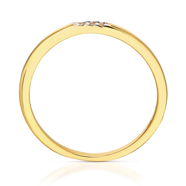 Goldener Ring Delicate Circle